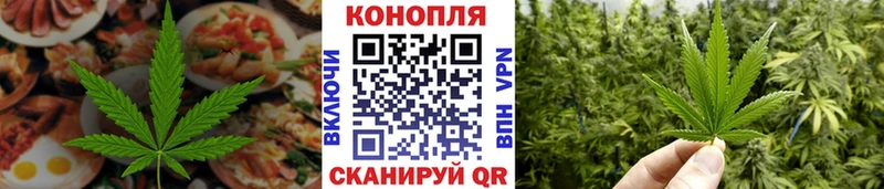 Купить закладки  Бабушкин  Cannafood конопля 