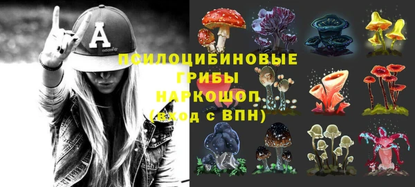 2c-b Ладушкин