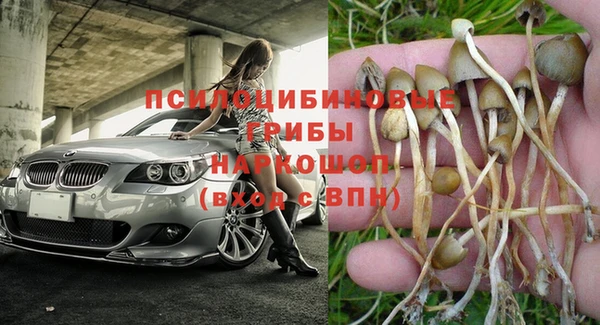 2c-b Ладушкин