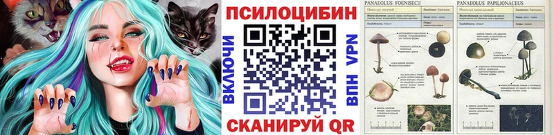 Купить где  Бабушкин  Галлюциногенные грибы мицелий 